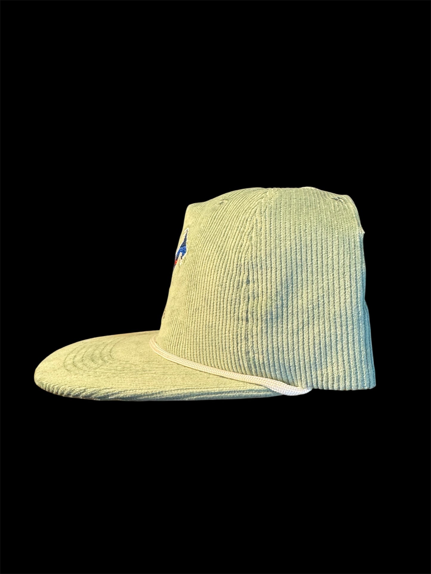 Mint Green - Patagoatia Corduroy Hat